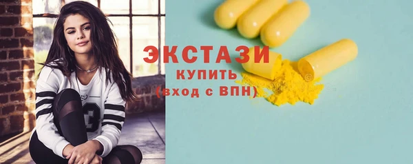 мдпв Вяземский