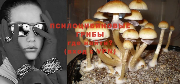 бошки Володарск